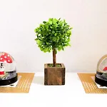 大阪之家 心斋桥难波附近3室一厅整套房子6 可接送机场